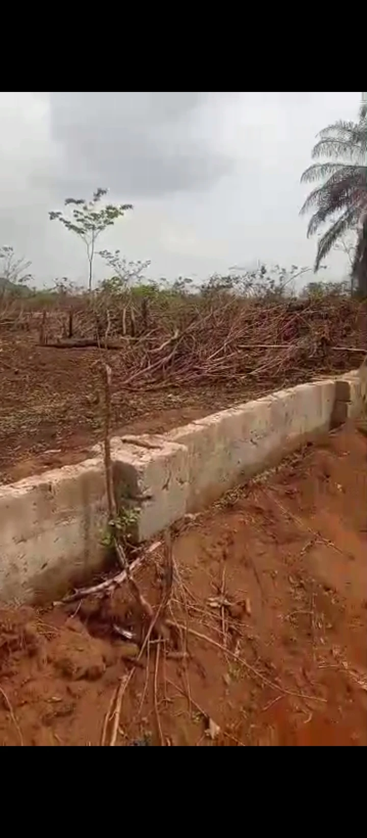 Land for Sale in Obagie, Edo cover picture