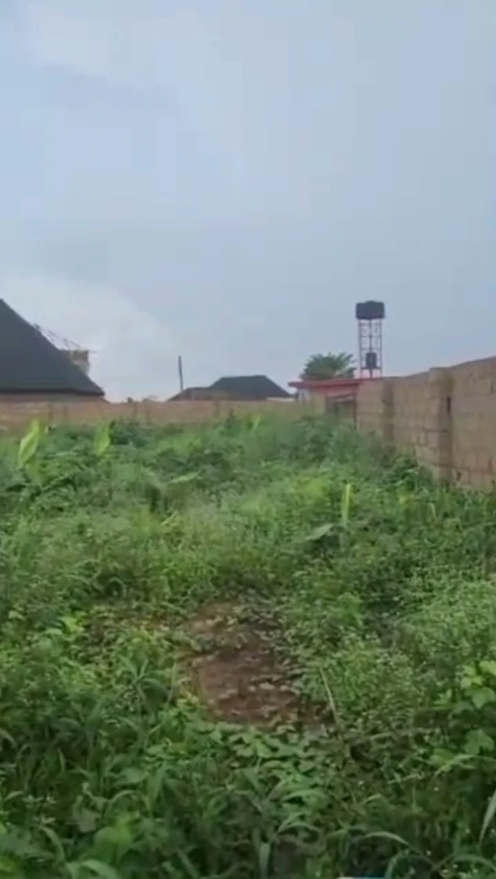 Land for Sale in Okhouromi, Edo cover picture