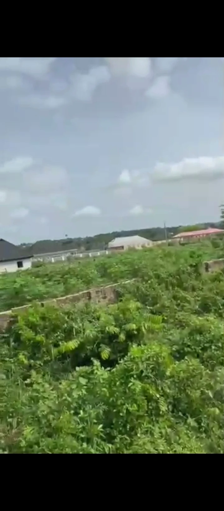 Land for Sale in Amagba, Edo cover picture