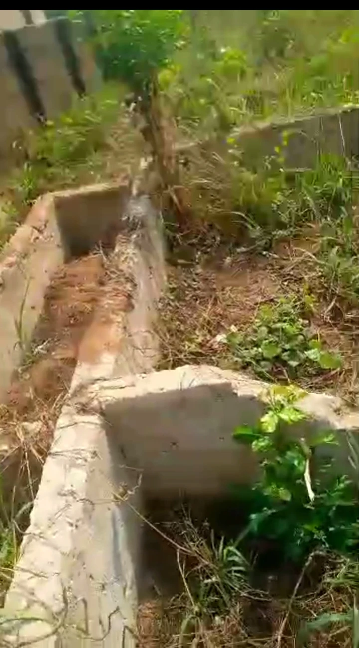 Land for Sale in Amagba, Edo cover picture