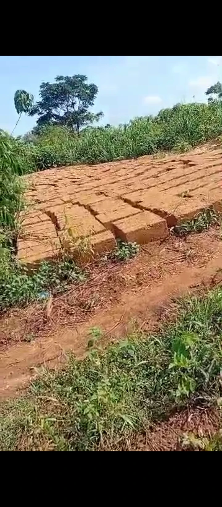 Land for Sale in Oluku, Edo cover picture