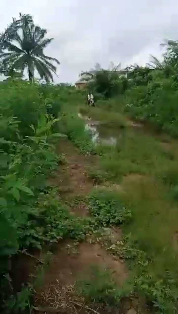 Land for Sale in BIU Road along sapele road, Edo cover picture
