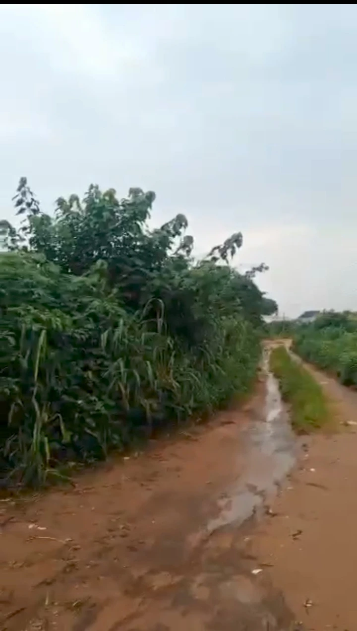 Land for Sale in Peanut sapele road, Edo cover picture