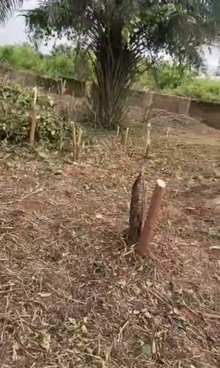 property cover photo