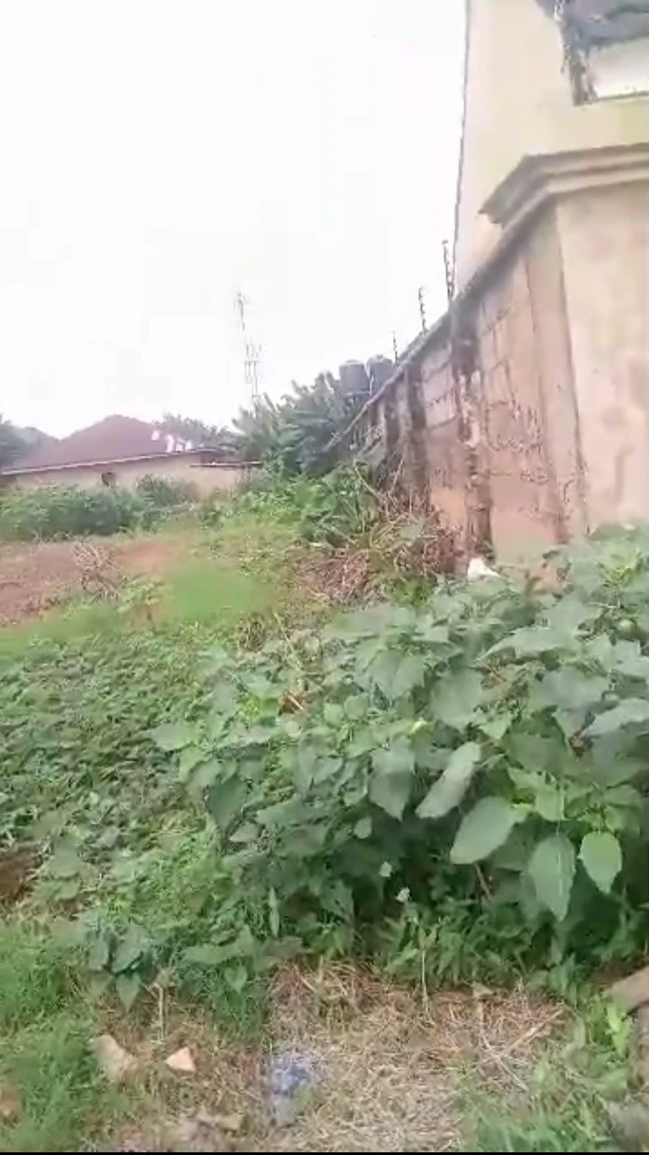 Land for Sale in Ugbor central, Edo cover picture