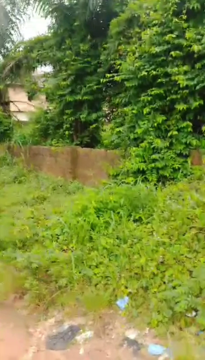 property cover photo