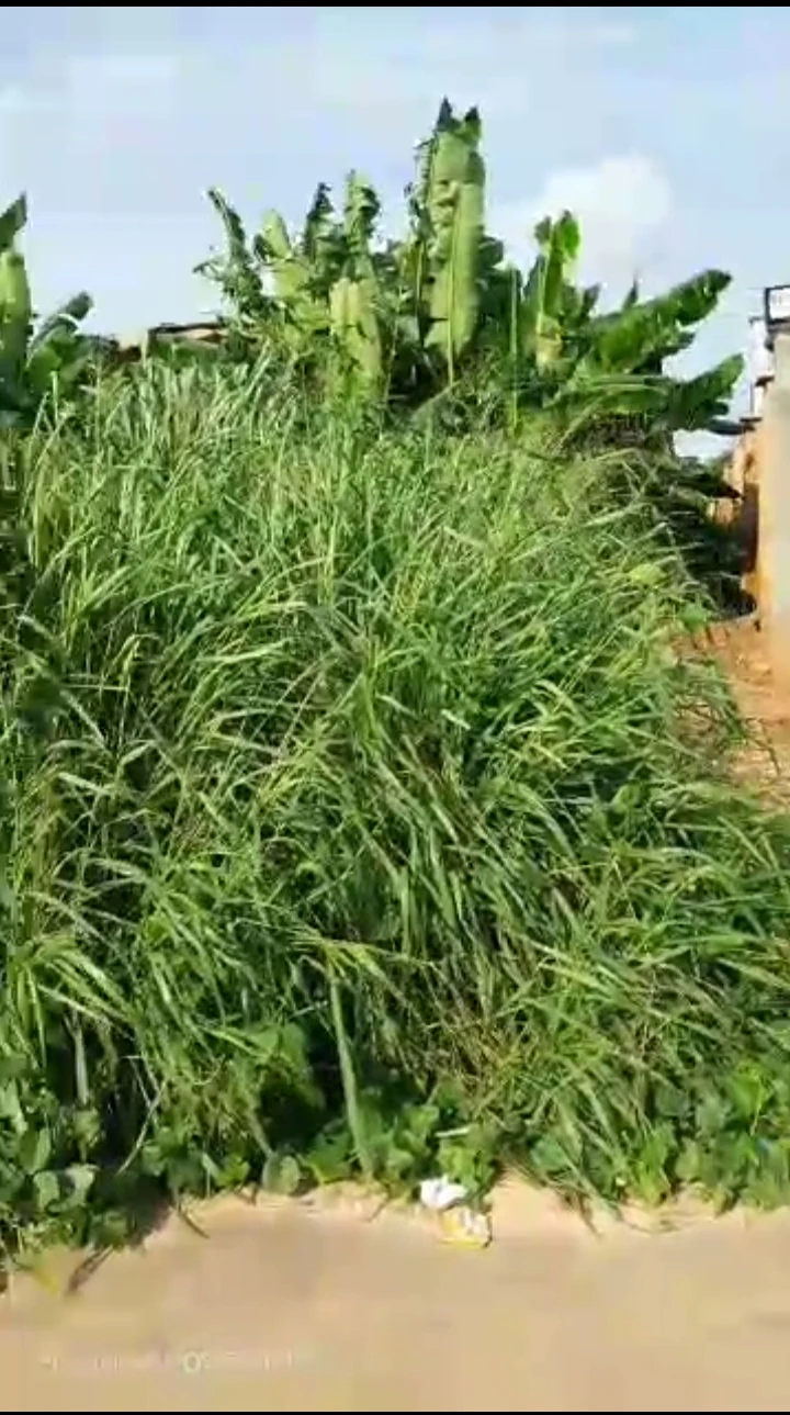 Uncompleted Building for Sale in Eriaria sapele road, Edo cover picture