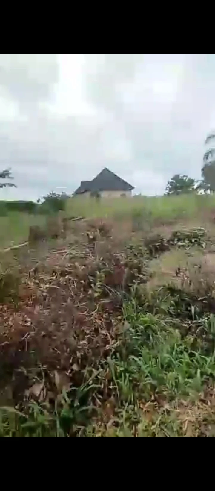 Land for Sale in Obagie sapele road, Edo cover picture