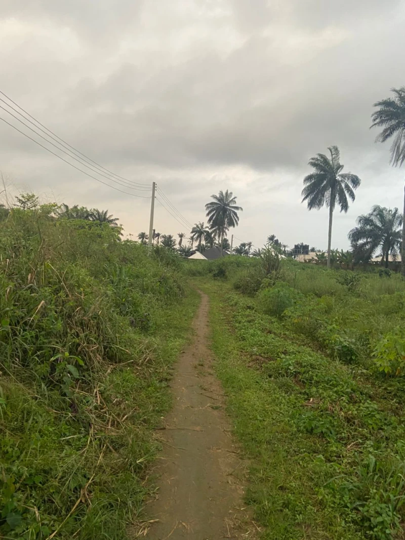 Land for Sale in IFA big junction, Akwa Ibom - Image 1