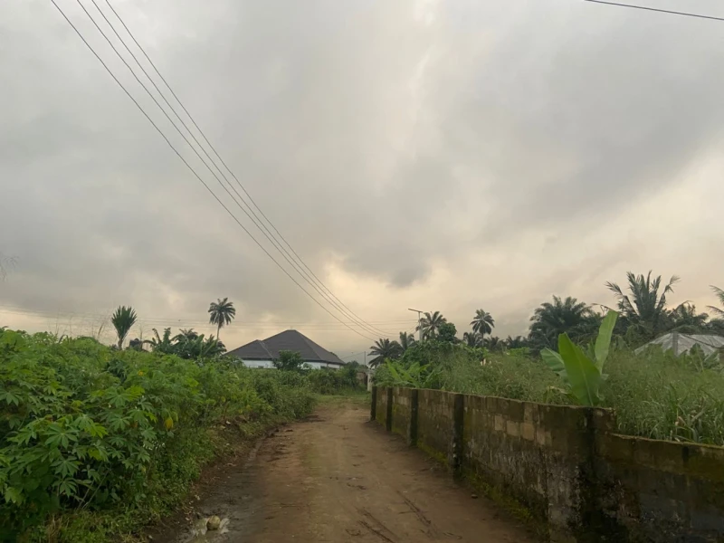 Land for Sale in IFA big junction, Akwa Ibom - Image 3