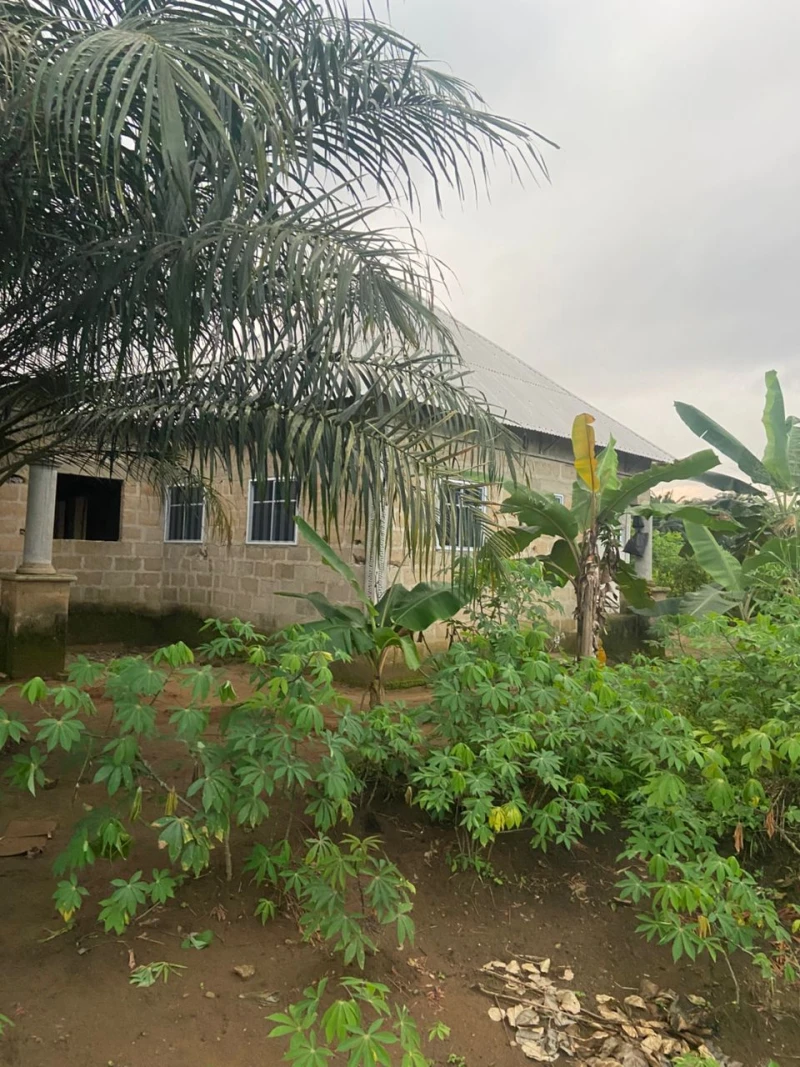Land for Sale in IFA big junction, Akwa Ibom - Image 2