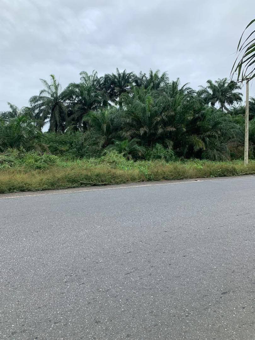 Land for Sale in Ikot Okoro road, Akwa Ibom - Image 3