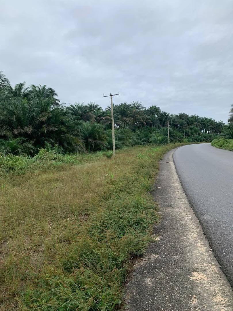 Land for Sale in Ikot Okoro road, Akwa Ibom - Image 2