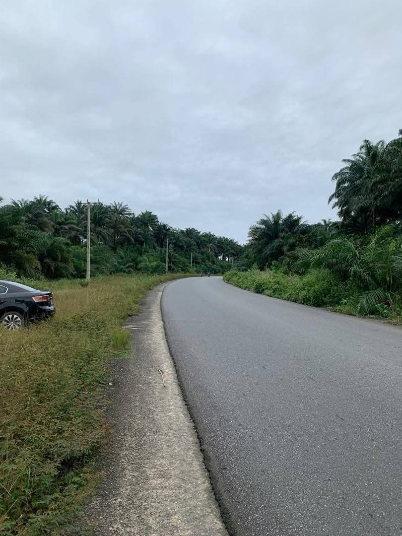 Land for Sale in Ikot Okoro road, Akwa Ibom - Image 4