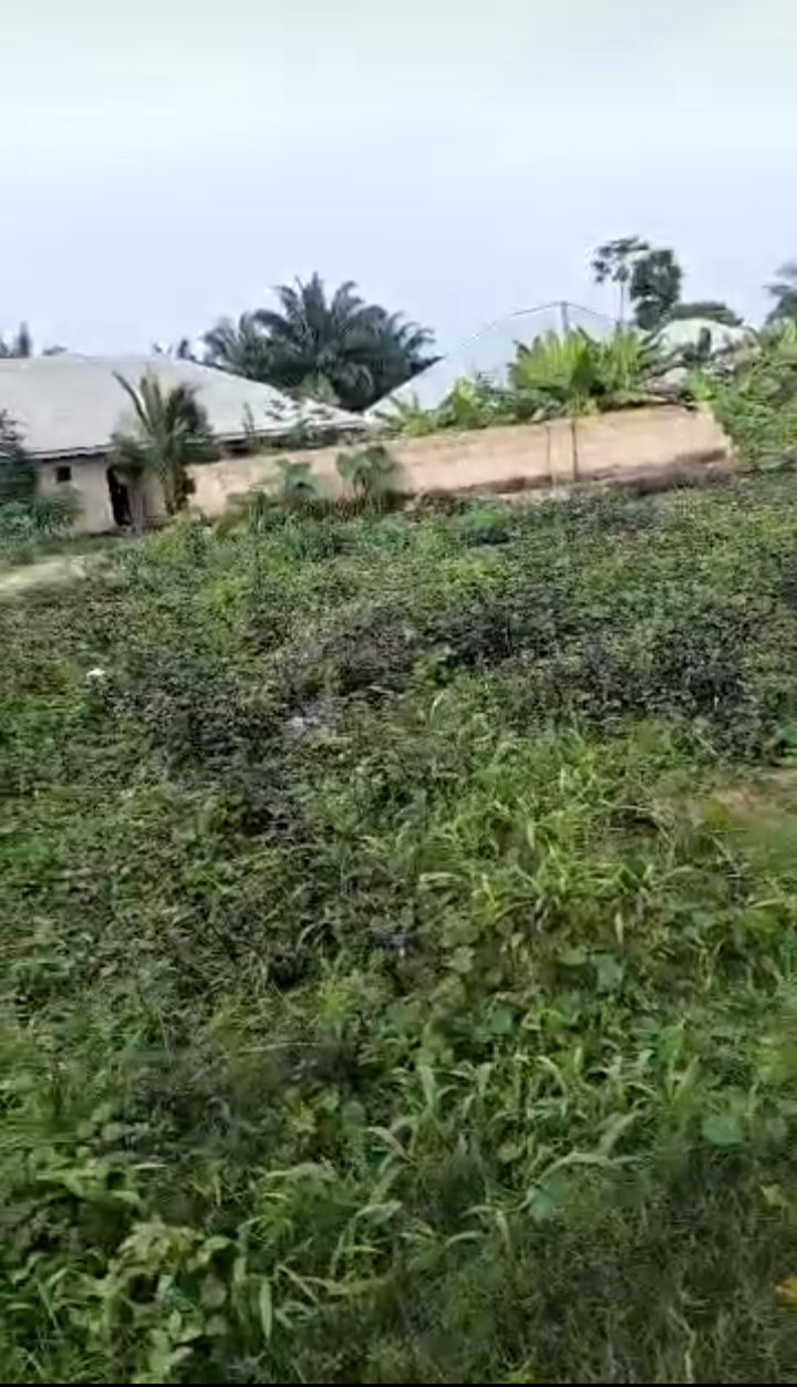 Land for Sale in Abak road, Akwa Ibom - Image 2
