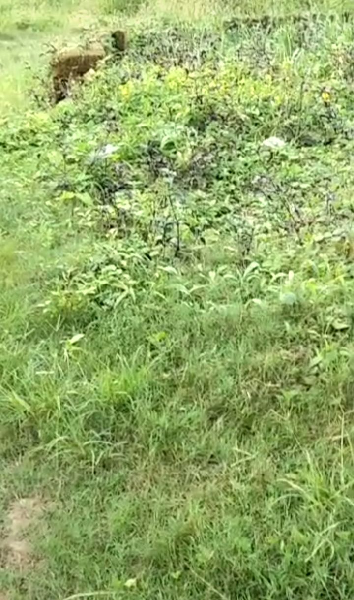 Land for Sale in Abak road by trans sossa, Akwa Ibom - Image 1