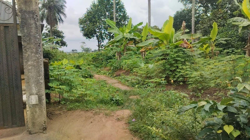 Land for Sale in Abak road, Akwa Ibom - Image 2