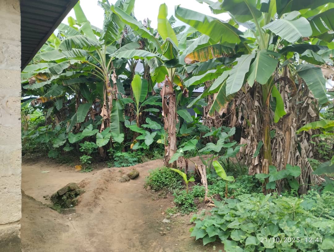 Land for Sale in Abak road, Akwa Ibom - Image 2
