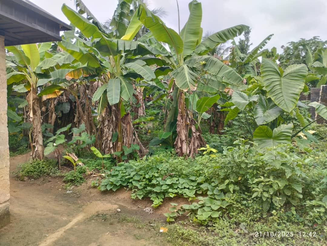 Land for Sale in Abak road, Akwa Ibom - Image 1