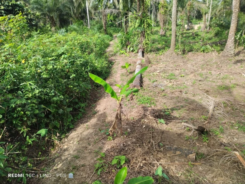 Land for Sale in Ediene obio imoh of idoro road, Akwa Ibom - Image 1