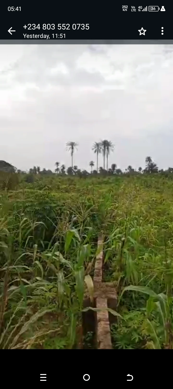 Land for Sale in Nung Obio Akama, Akwa Ibom - Image 1