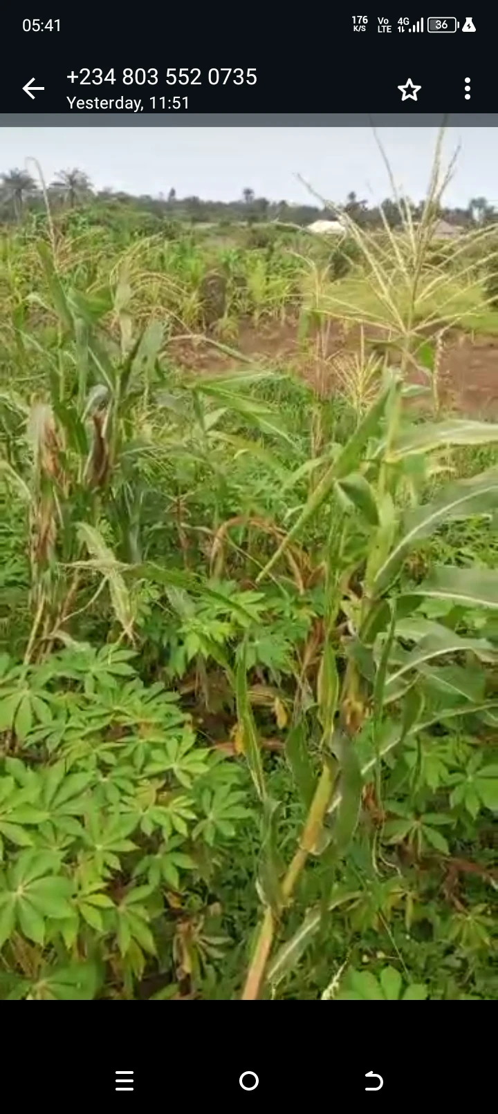 Land for Sale in Itiam street off NEPA line, Akwa Ibom - Image 1