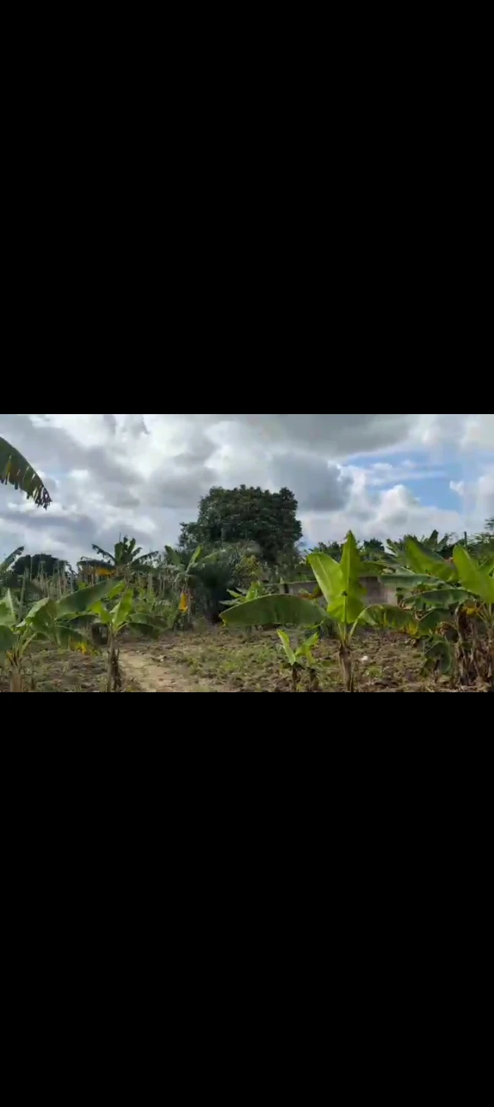 Land for Sale in Osongama Housing estate, Akwa Ibom - Image 2