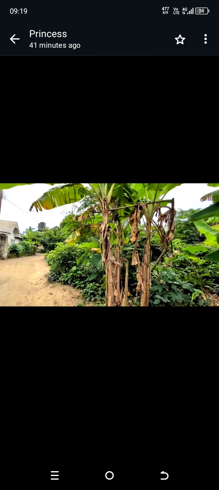 Land for Sale in Nwaniba road, Akwa Ibom - Image 1
