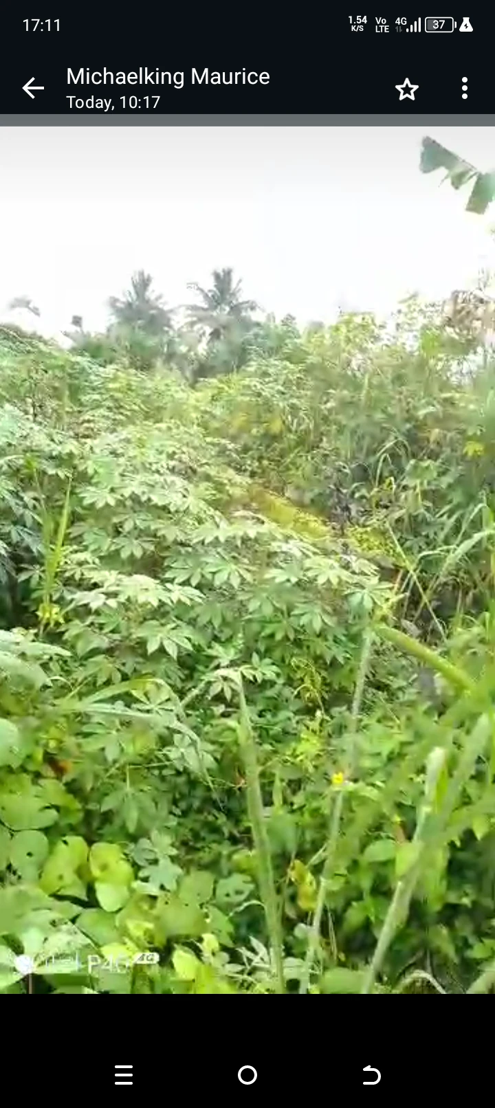 Land for Sale in Off Ring road 3, Akwa Ibom - Image 2