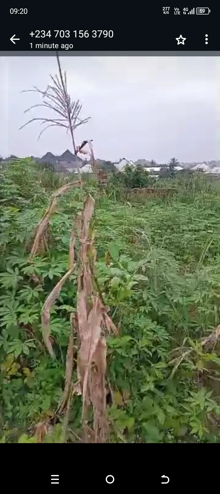 Land for Sale in Ekpiri nsikara , off nwaniba, Akwa Ibom - Image 2