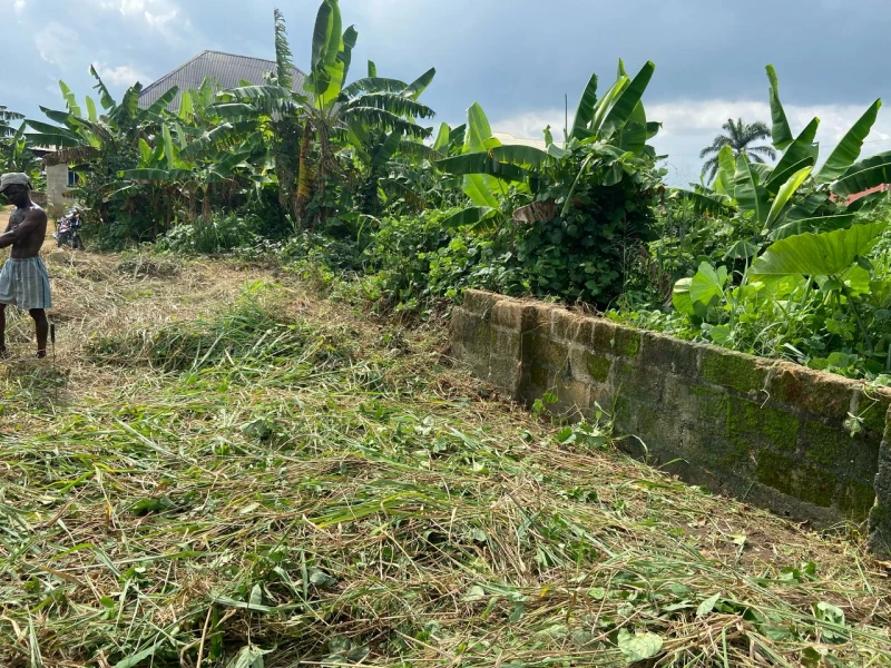 Uncompleted Building for Sale in Shelter Afrique extension, Akwa Ibom - Image 2