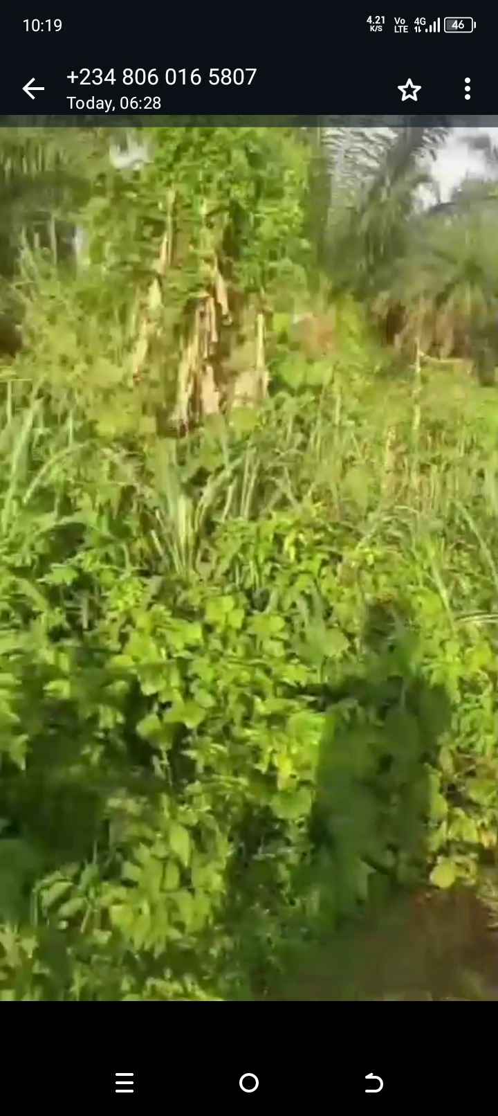 Land for Sale in Oron road, Akwa Ibom - Image 2