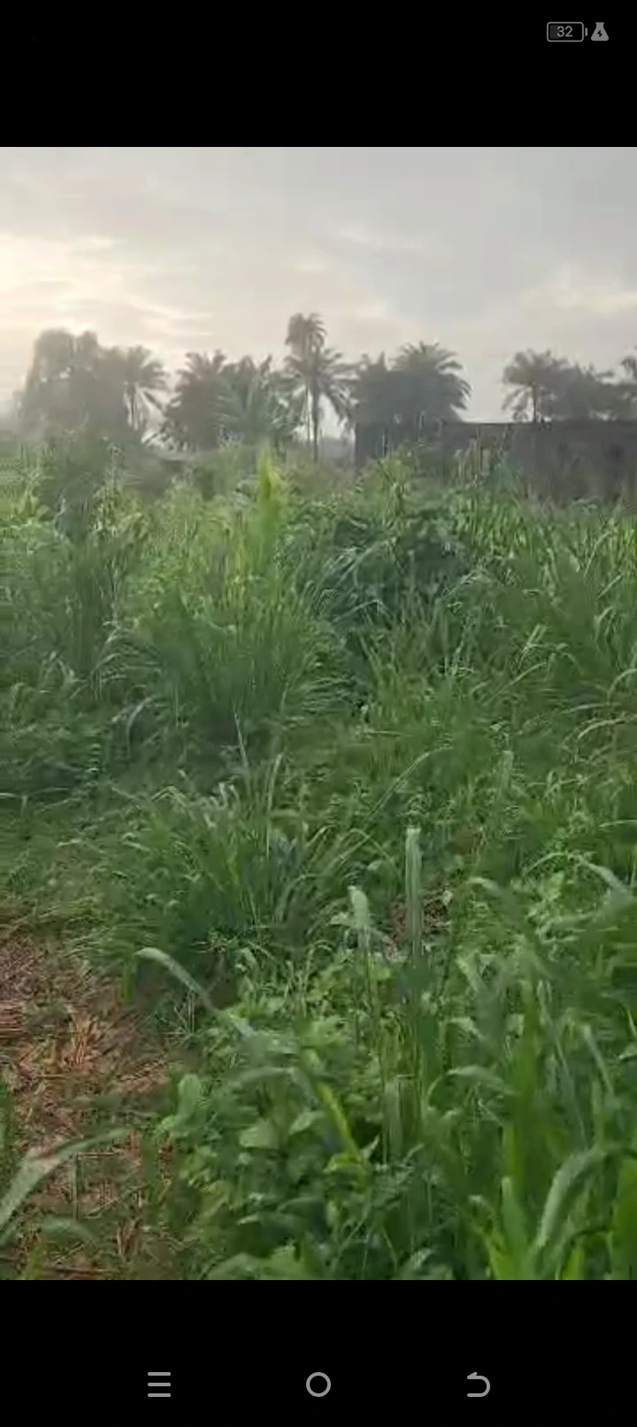 Land for Sale in IFA big junction, Akwa Ibom - Image 3