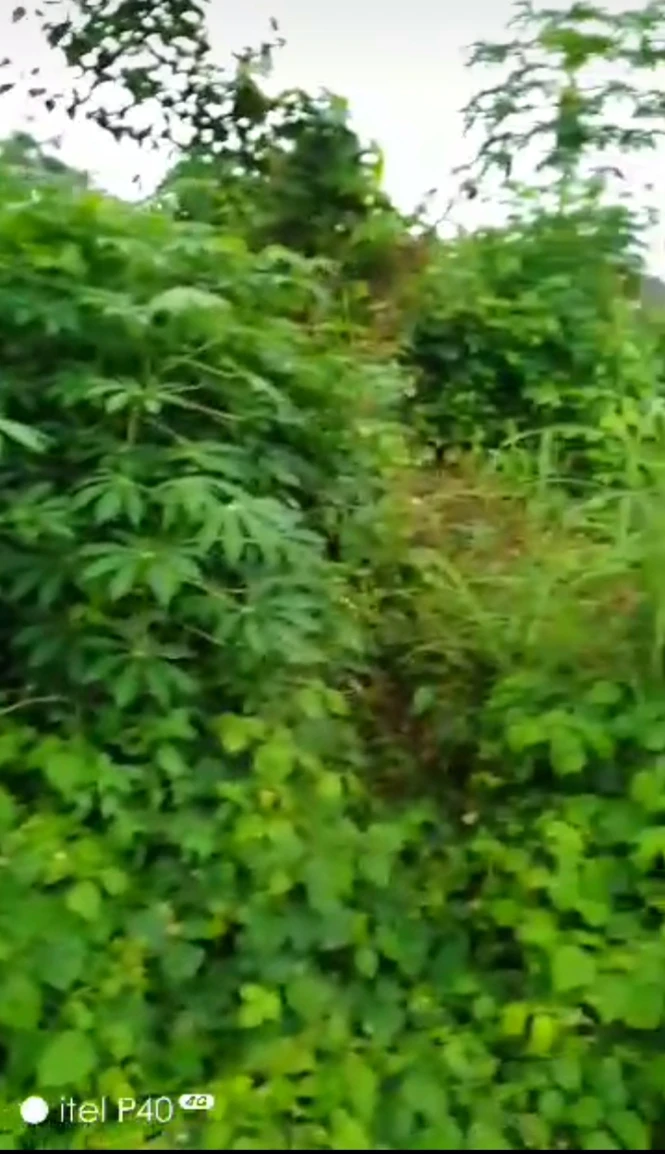 Land for Sale in Off ring road 3, Akwa Ibom - Image 1