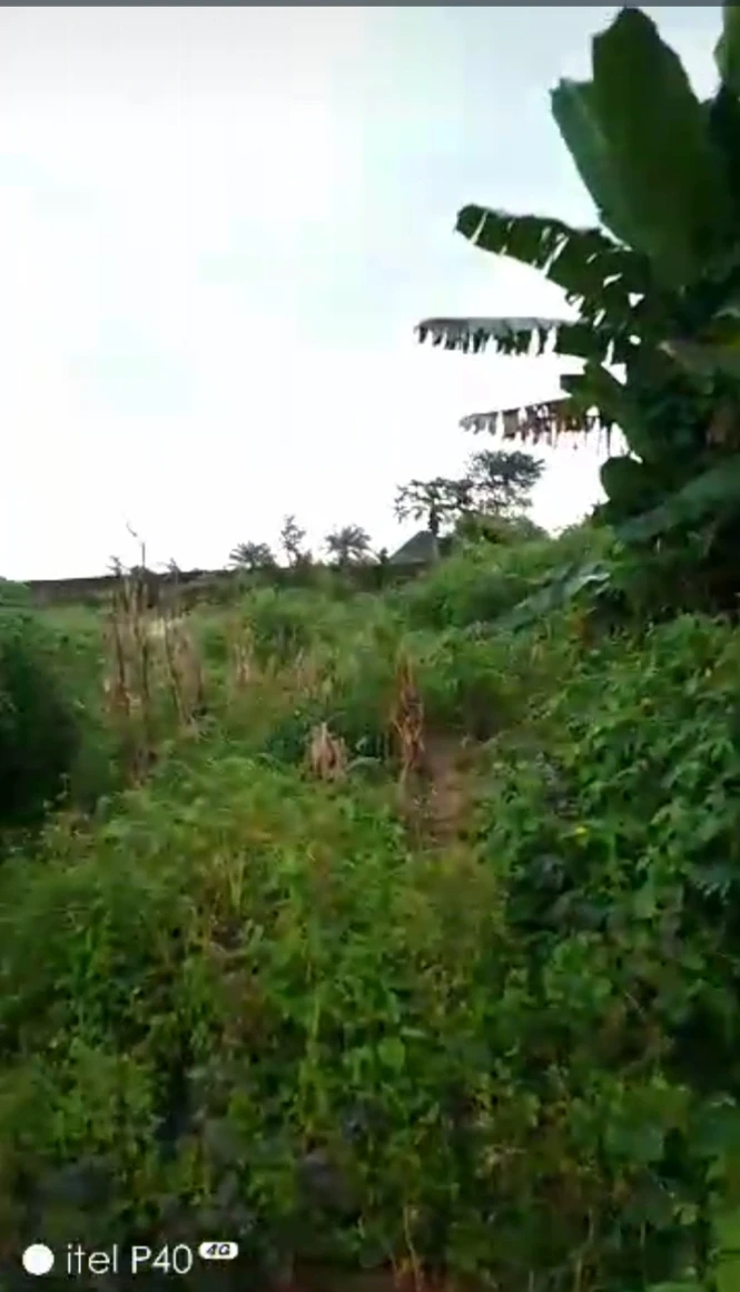 Land for Sale in Off ring road 3, Akwa Ibom - Image 2