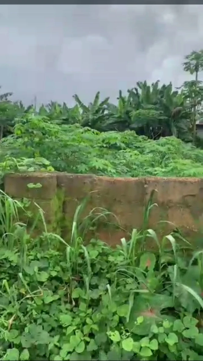 Land for Sale in Off Mbierebe, Akwa Ibom - Image 2