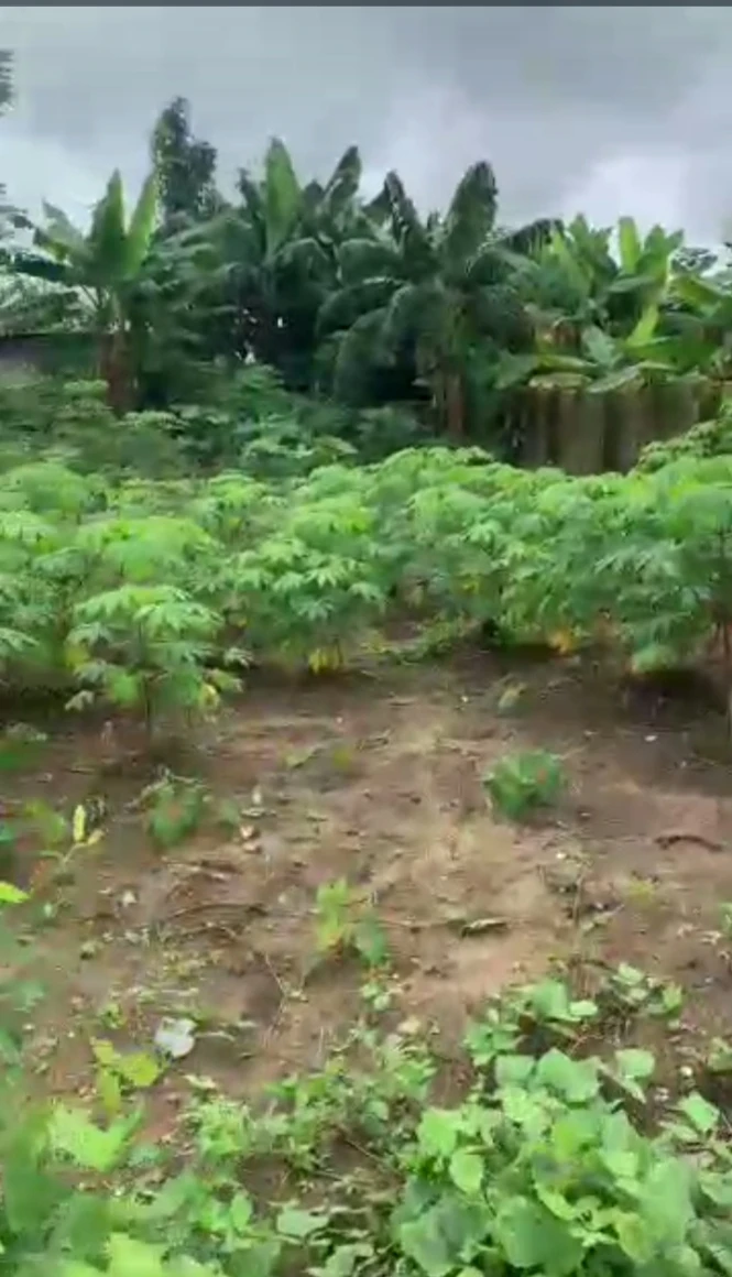 Land for Sale in Off Mbierebe, Akwa Ibom - Image 3