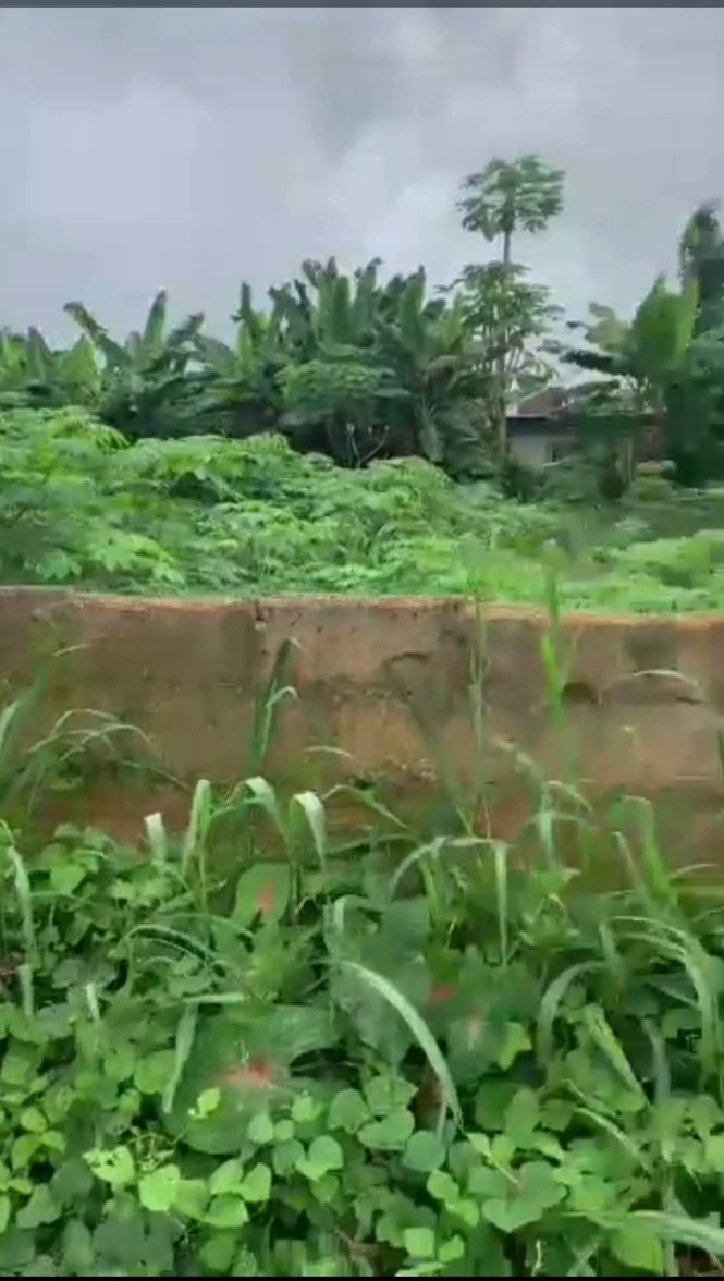 Land for Sale in Mbierebe off stadium road, Akwa Ibom - Image 1