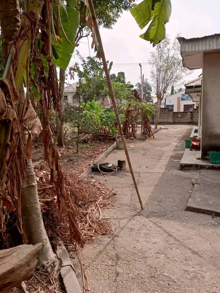 Bungalow for Sale in Nwaniba by drug enforcement, Akwa Ibom - Image 1