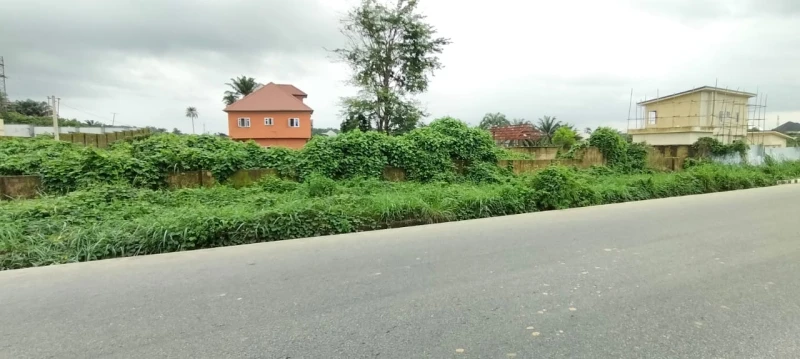 Land for Sale in Nwaniba road, Akwa Ibom - Image 3