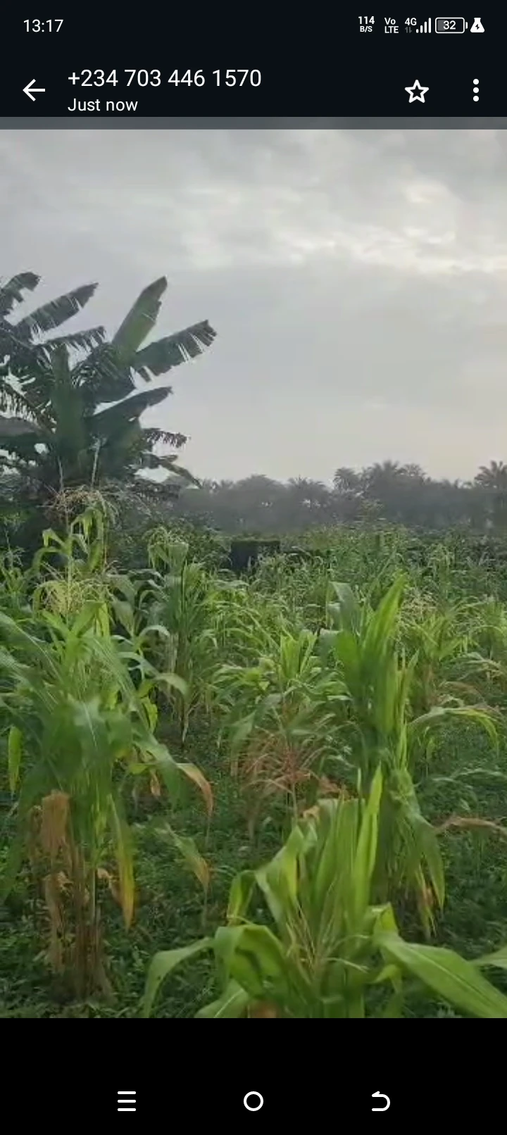 Land for Sale in IFA big junction, Akwa Ibom cover picture