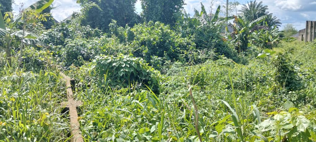 Land for Sale in Shelter Afrique extension, Akwa Ibom cover picture
