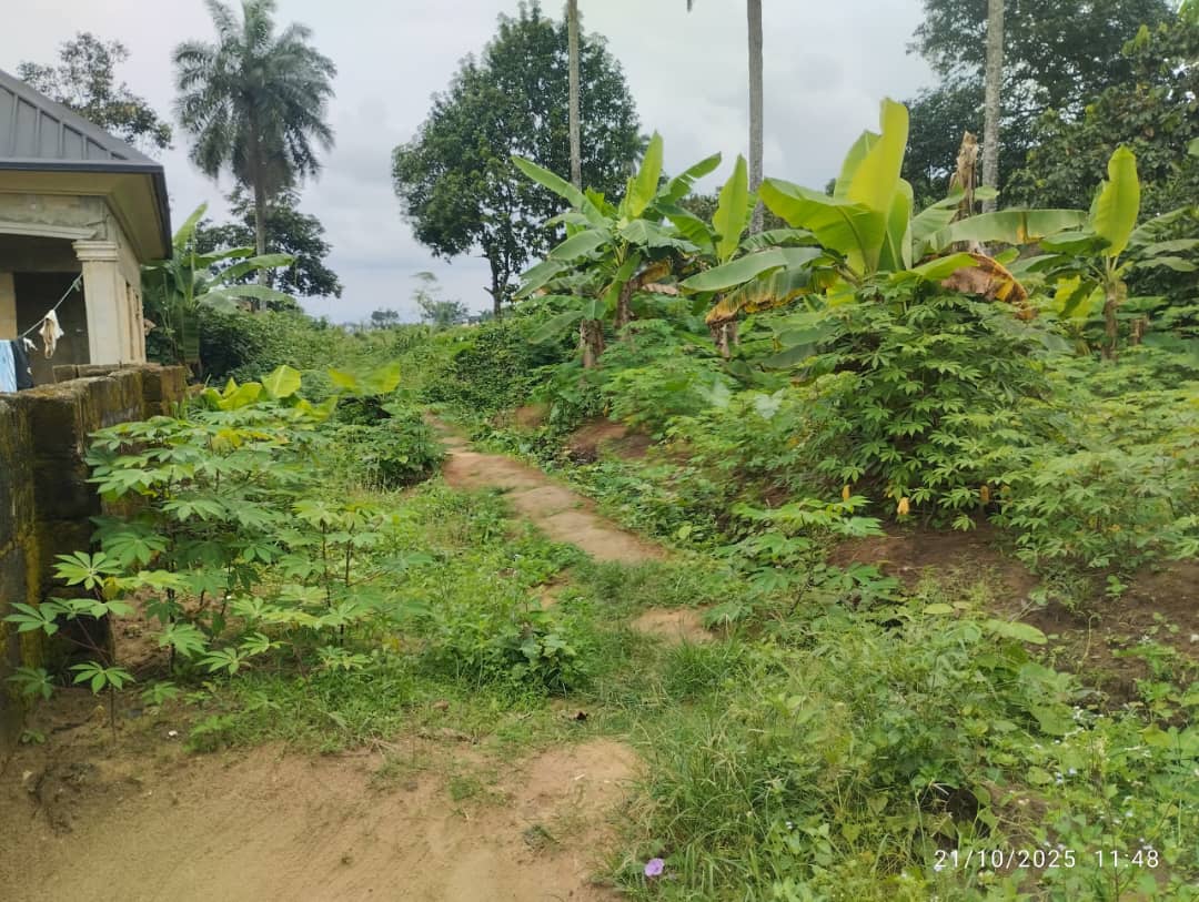 Land for Sale in Abak road, Akwa Ibom cover picture