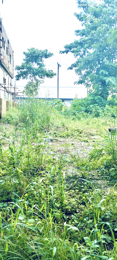 Land for Sale in Oron road ,opp shelter afrique, Akwa Ibom cover picture