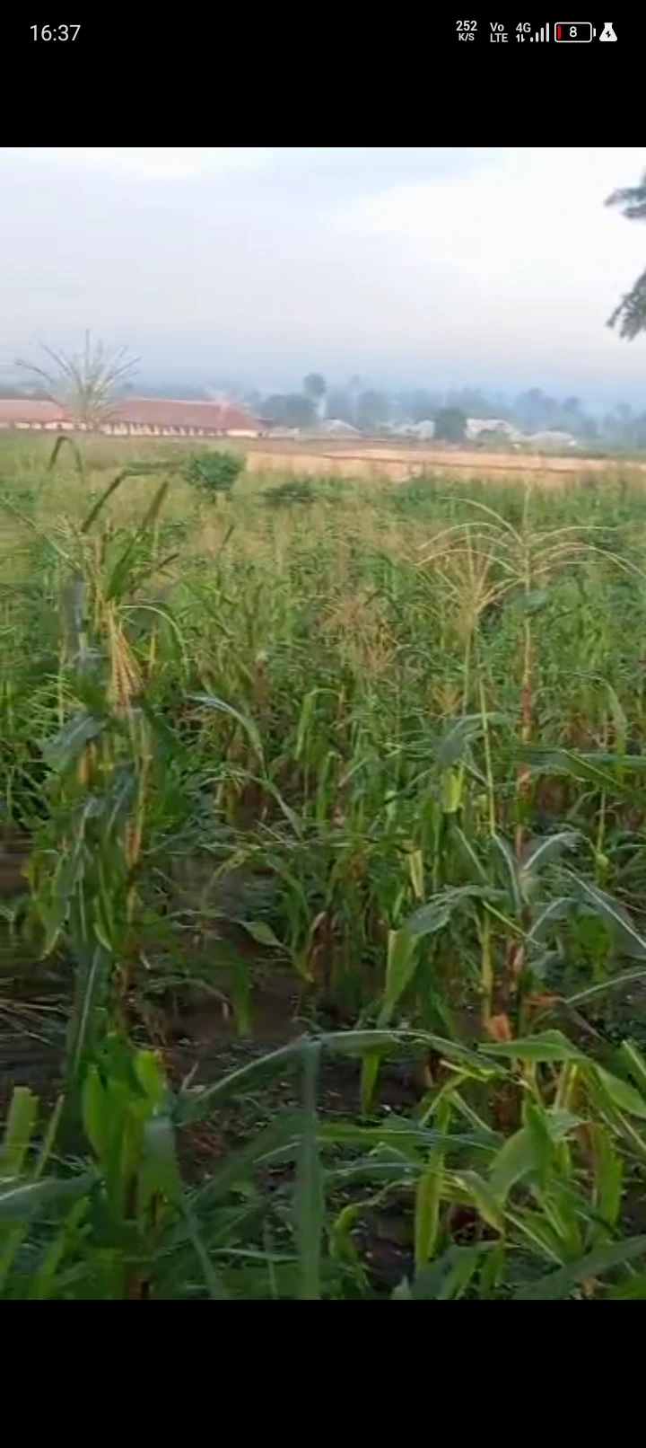 Land for Sale in Idoro road, Akwa Ibom cover picture