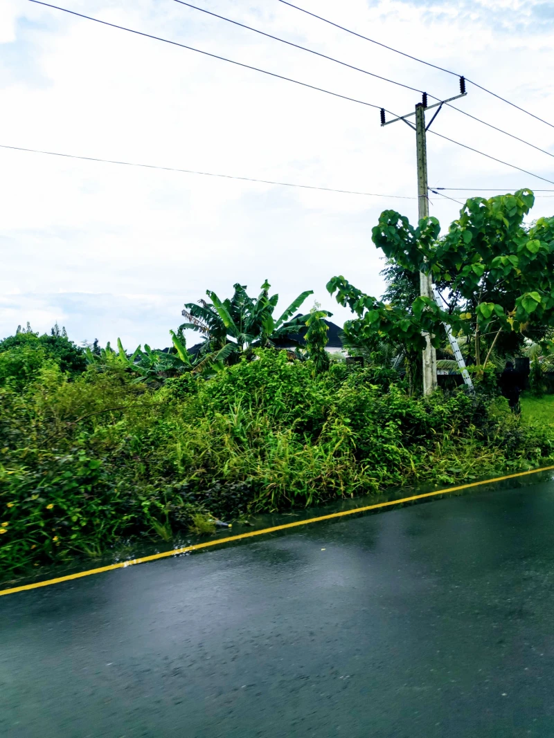 Land for Sale in Osongama Housing estate, Akwa Ibom cover picture