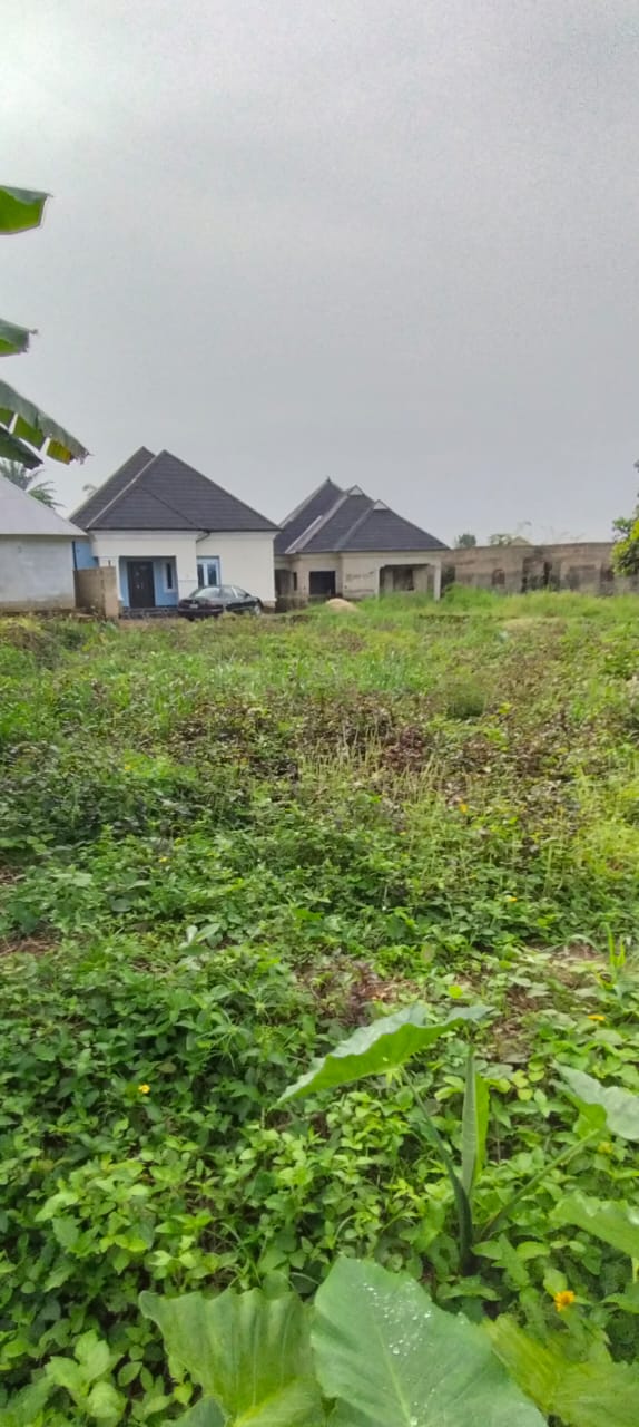 Land for Sale in Abak road, Akwa Ibom cover picture