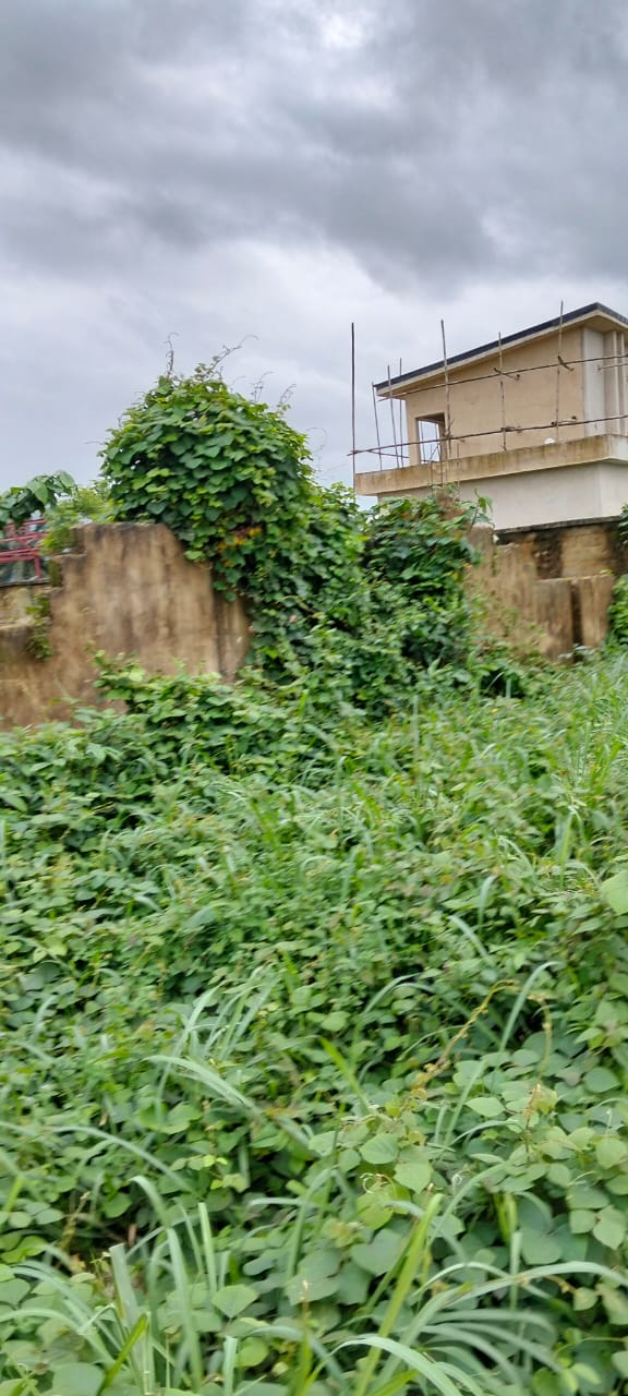 Land for Sale in Nwaniba road, Akwa Ibom cover picture