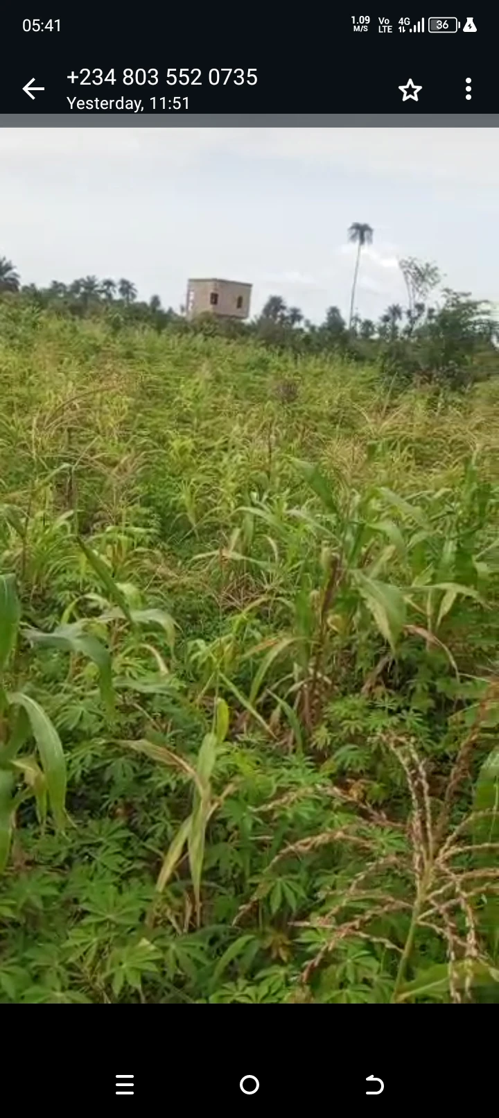 Land for Sale in Nung Obio Akama, Akwa Ibom cover picture