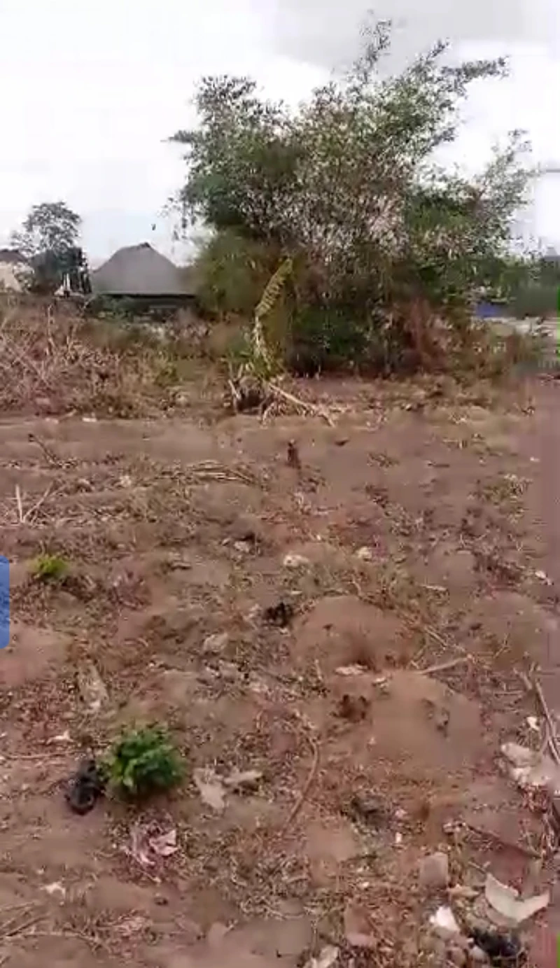 Land for Sale in Okpanam, Delta - Image 1